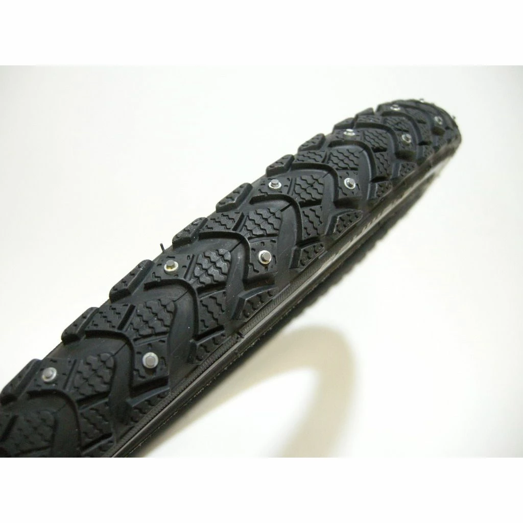 Schwalbe Winter 1 Schwalbe Winter